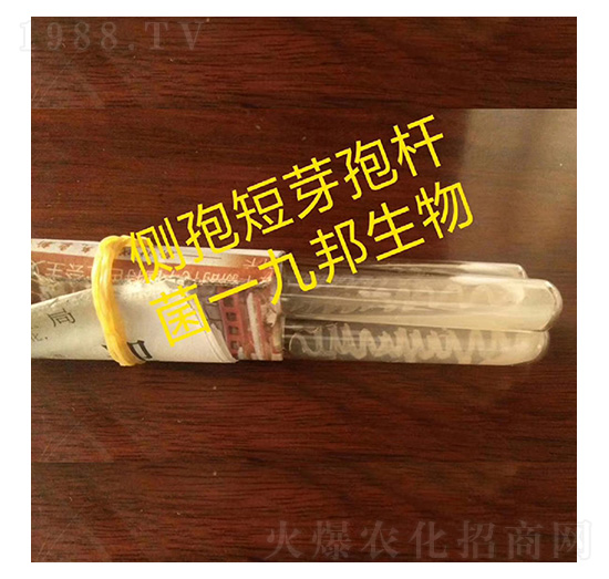 ����ѿ�ߗU��-б��ԇ�ܾ�-�Ű�����