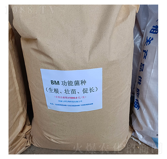 BM����ʹ��ܾ�������������L��-�Ű�����