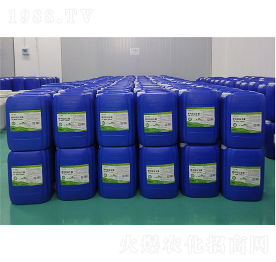 �����{���������h(hu��n)�����ã�-�����{����