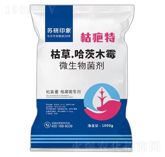 �ݲݡ�����ľù-�ݰ���-�K��ӡ��