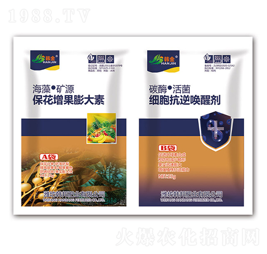 �������������-�������憾�ф�-�n��-�n��ʘI(y��)