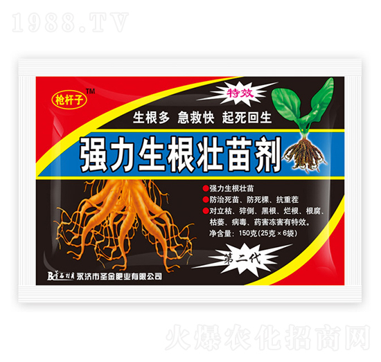 ��(qi��ng)���������焩-���U��-ʥ��ʘI(y��)