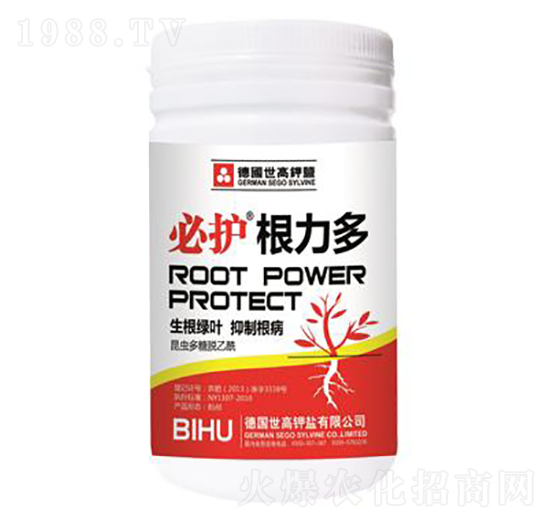 ���o(h��)������-����������