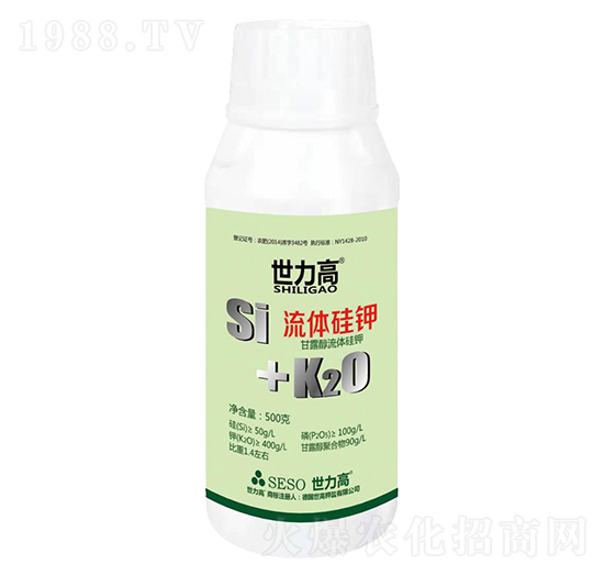 ���w���-����������