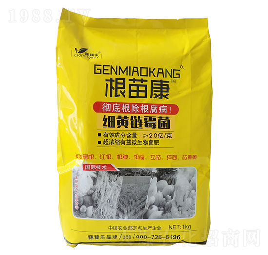 ���S�ù��-���翵-�ڼژ�