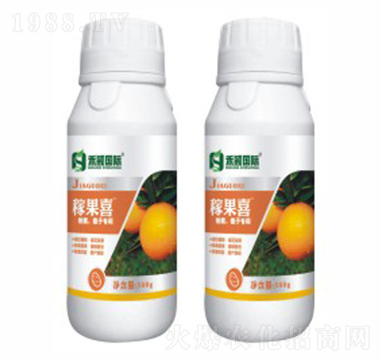 ������ɰ���١����ӌ���-�ڹ�ϲ-�̷f����