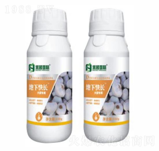 �⡢�[���������~���-���¿��L-�̷f����