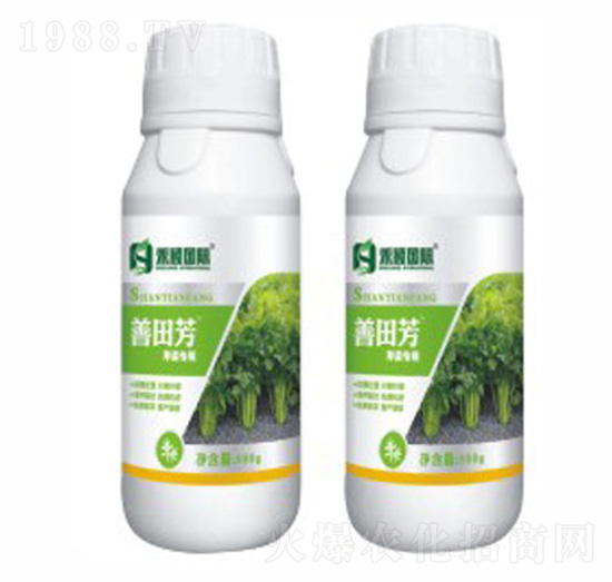 �۲ˌ����~���-���﷼-�̷f����