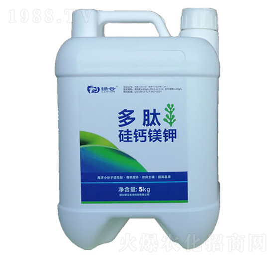 ���Ĺ��}�V�-�G������