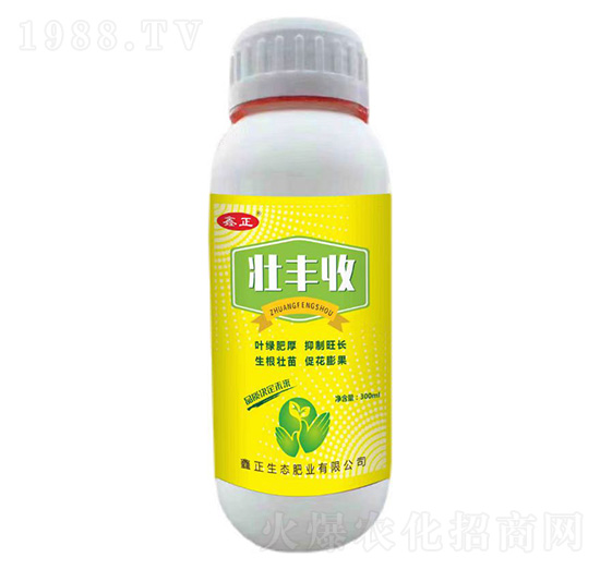 ���S��-ҫѸ�w�r�I(y��)