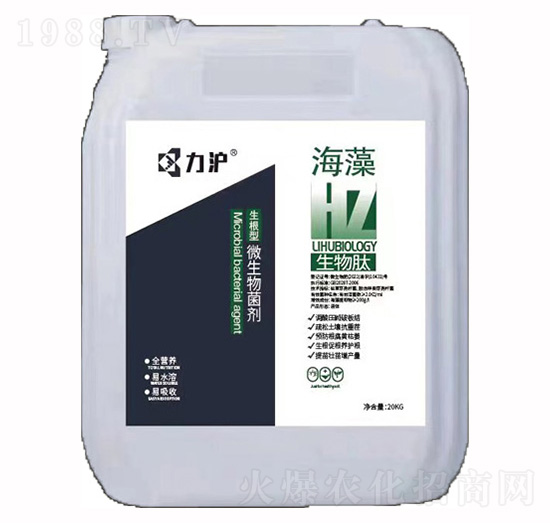 ������΢�������-��������