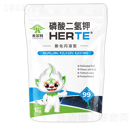 ���W������������-�̠���