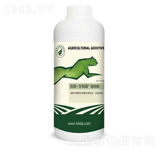 ֲ����-���}�����-�G���_