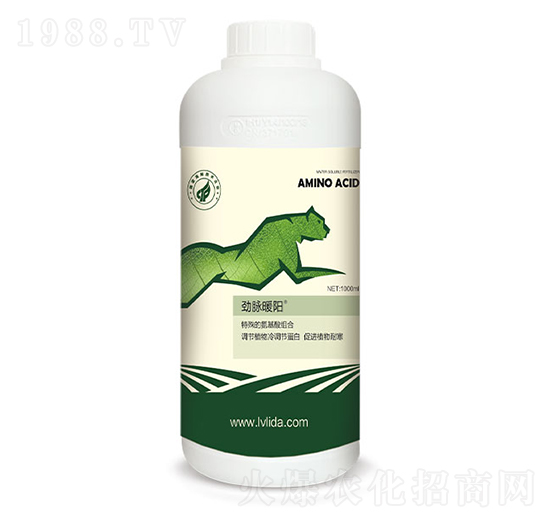 ���{(di��o)��(ji��)���״��M��-���}ů�-�G���_