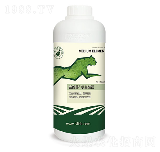 �������V-���}��S��-�G���_