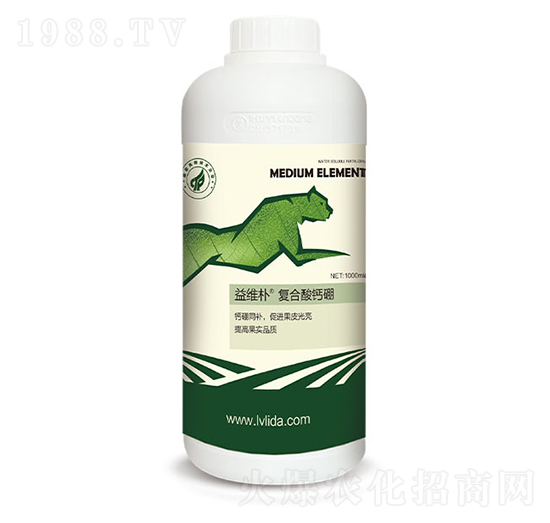 ��(f��)�����}��-���}��S��-�G���_