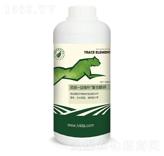 ��(f��)�����\-���}��S��-�G���_