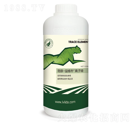 �x�ӹ�-���}��S��-�G���_