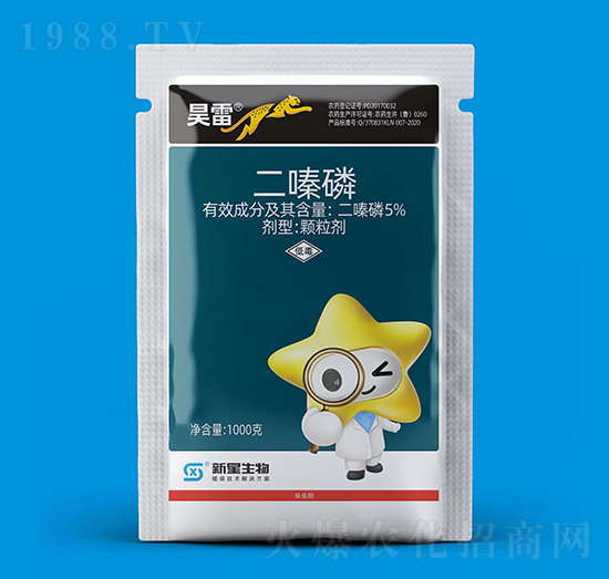 5%�����-���-��������