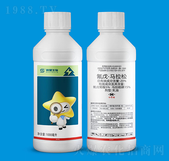 20%���졤�R����-��������