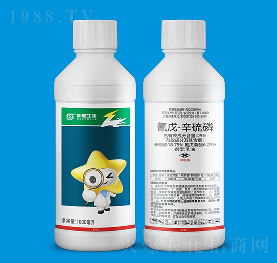 25%���졤������-��������