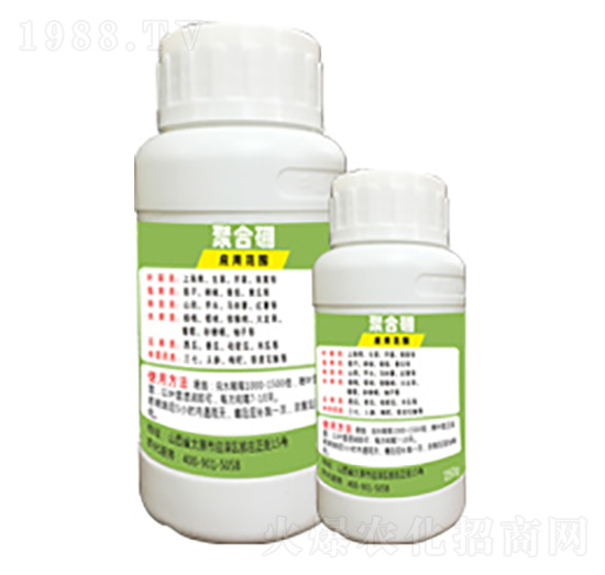 �ۺ���-�G�̿�-�x����