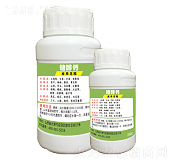 �Ǵ��}-�G�̿�-�x����