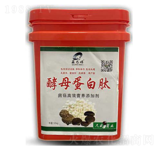 ��ĸ������-����ý-���_����