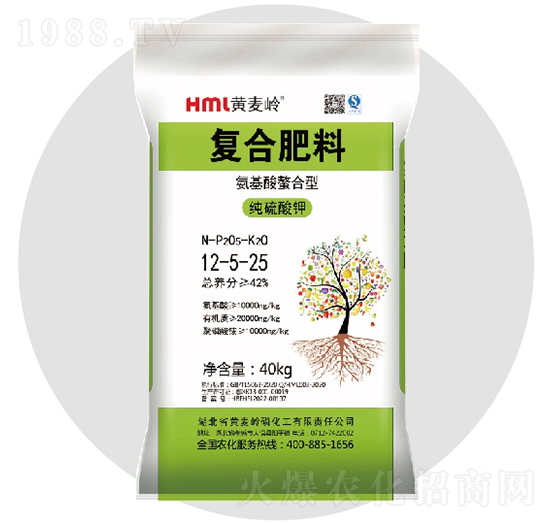 ������ͺϷ���12-5-25���-�S���X