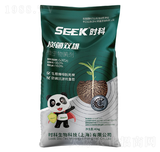 ̿���p��(����̿����)-�r������