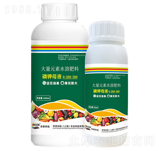 ���ĸҺ-�ڶ����