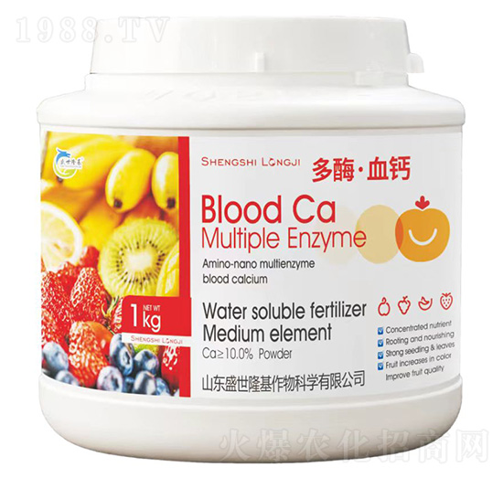 ��ø��Ѫ�}-ʢ��¡��