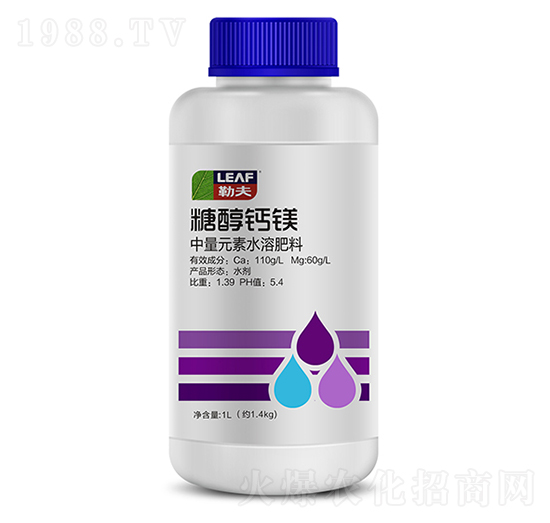 �Ǵ��}�V-�շ�