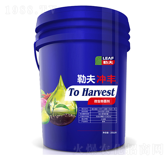 �շ�_�S�{(l��n)Ͱ��-�շ�