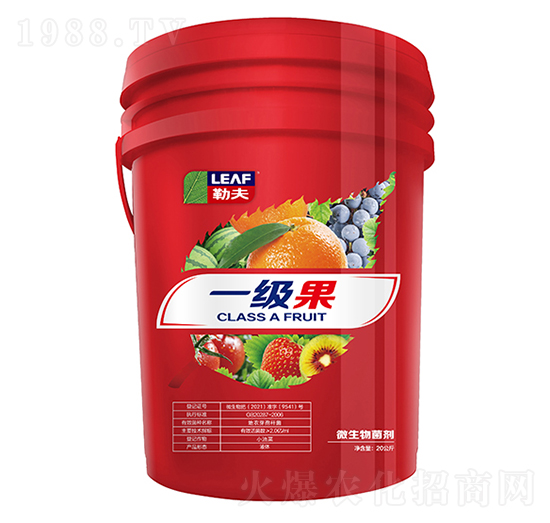 һ�����tͰ��-�շ�