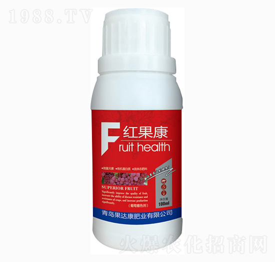 �t�����~���-���_���ʘI(y��)