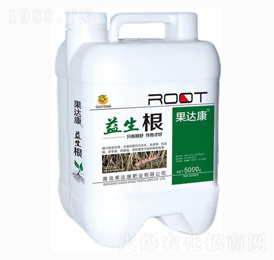 �������_ʩ��-���_(d��)���ʘI(y��)