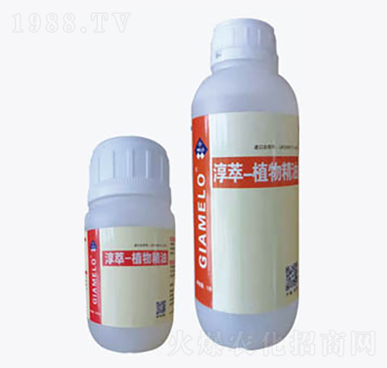 ���͡�ֲ�ﾫ��-������Դ