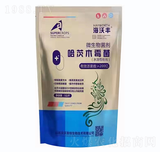 ����ľù����΢�������-�����S-�����_����