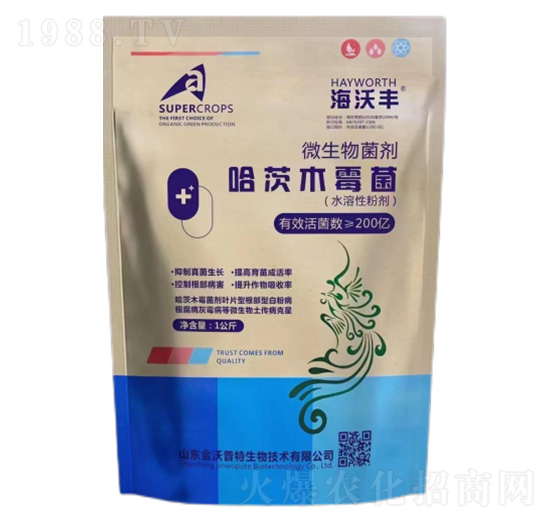 ����ľù��-�����S-�����_����