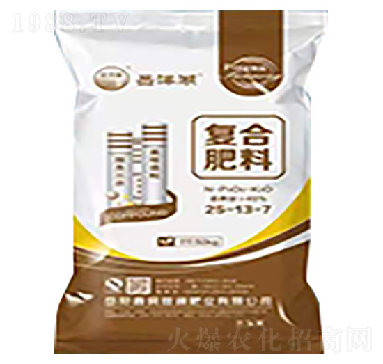 ���������ͺϷ���-�ζ�ͥ���ʘI(y��)