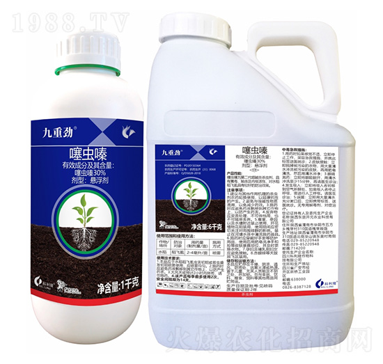 30%���x�-���؄�-����¡����