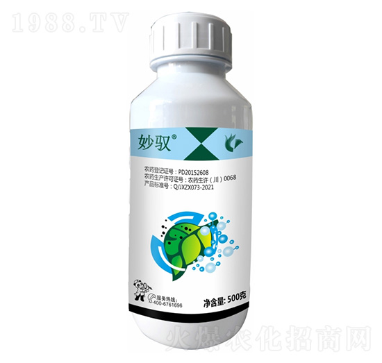 25%���򡤮�����-���S-����¡����