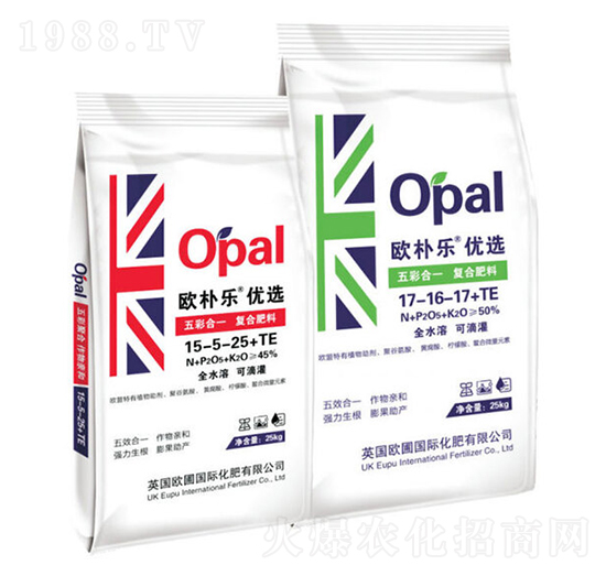 ��ʺ�һ��(f��)�Ϸ���-�W�㘷