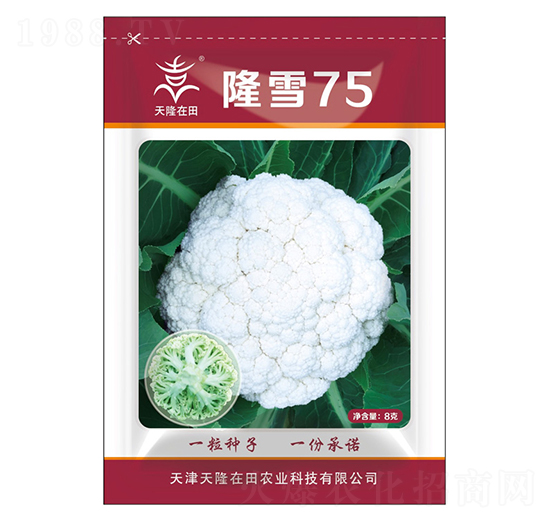 ¡ѩ75-��¡����-��¡�r(n��ng)�I(y��)