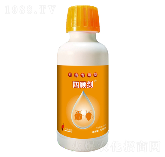 �p���Y�����ٌ����͚�������-���-ϲ��{��