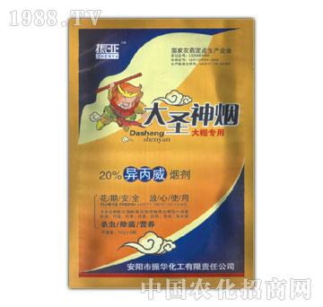 ���A����-��ʥ��