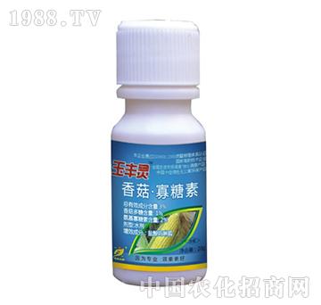 3%�㹽������-���S�`-˼�h(yu��n)����