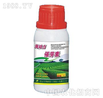 ��ѿ��-����(d��ng)��-˼�h(yu��n)����