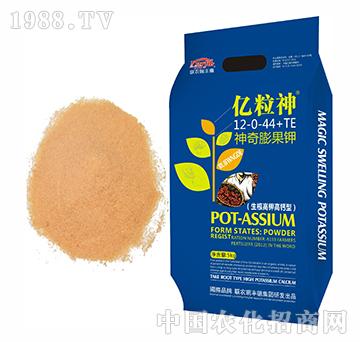 �|����������⛸��}��12-0-44+TE-�����r(n��ng)��